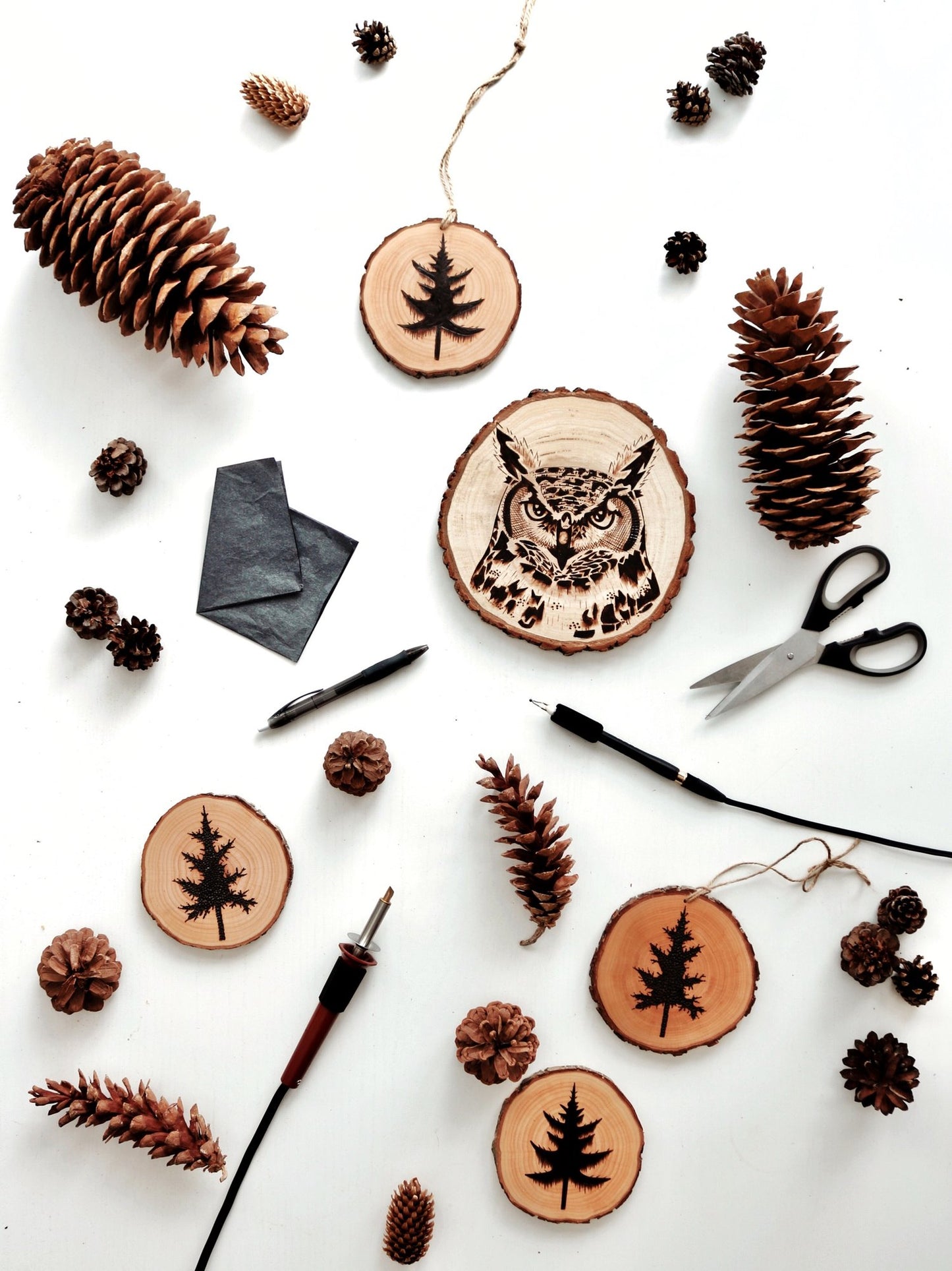 Woodburning Workshop eBook