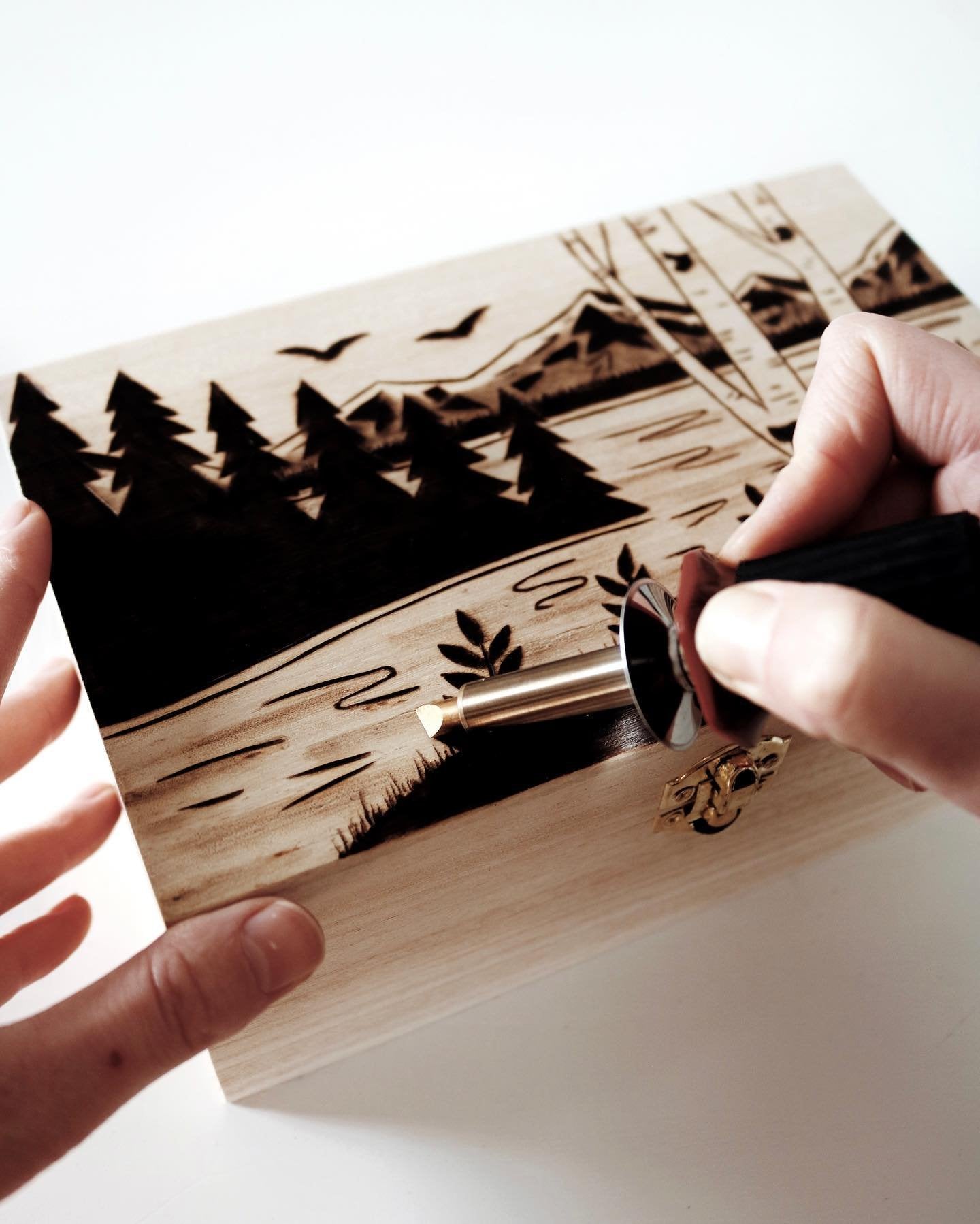Woodburning Workshop eBook
