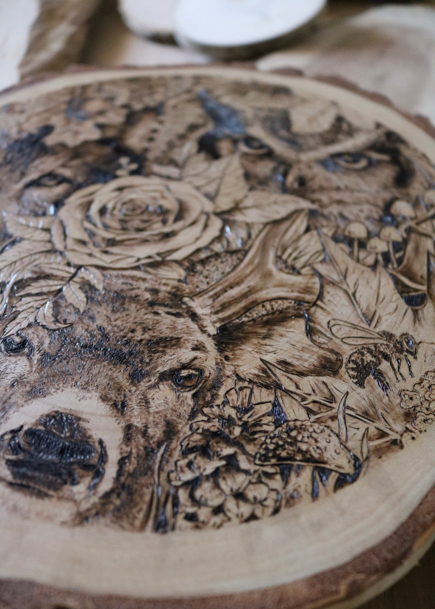 Flora & Fauna