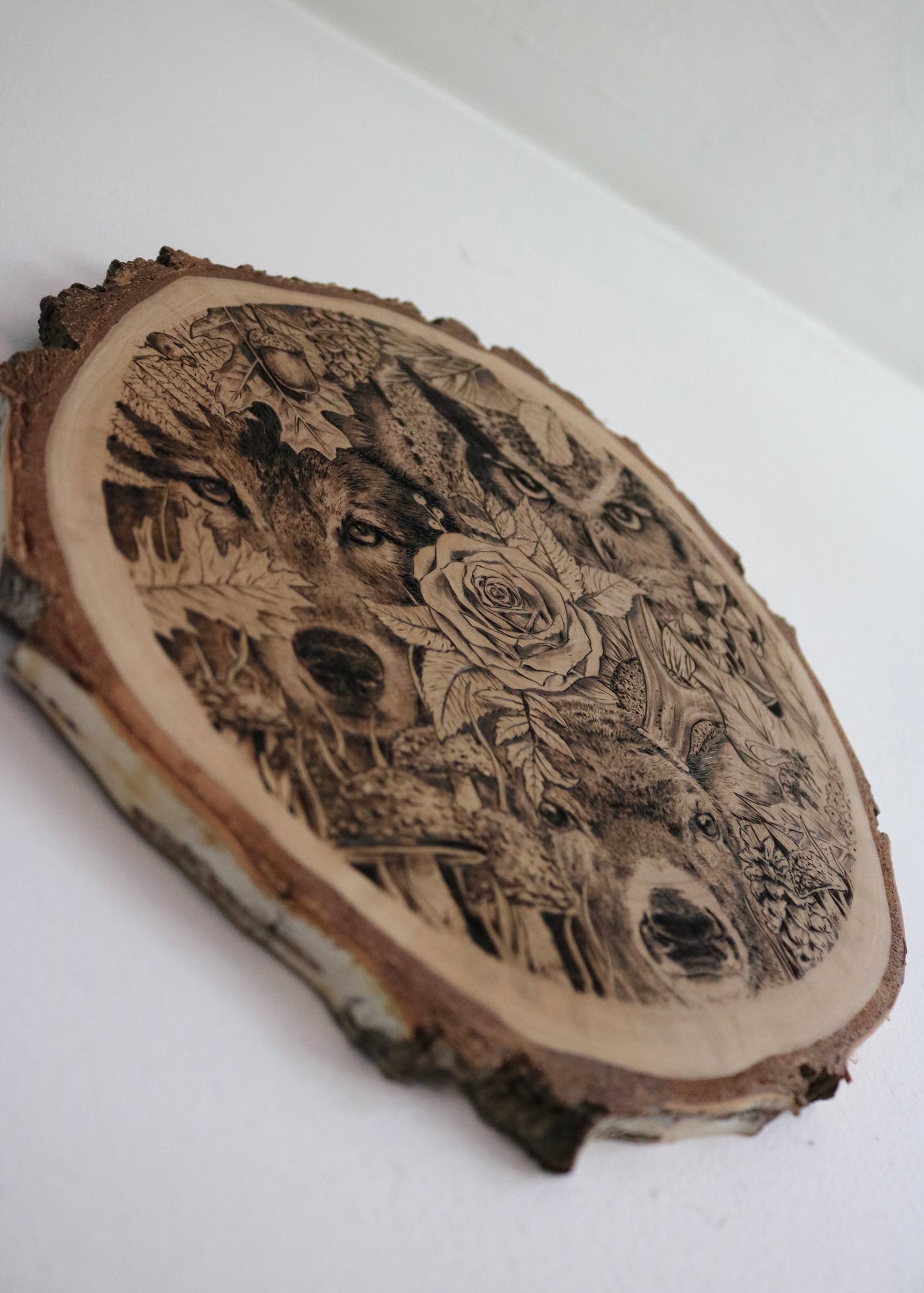Flora & Fauna