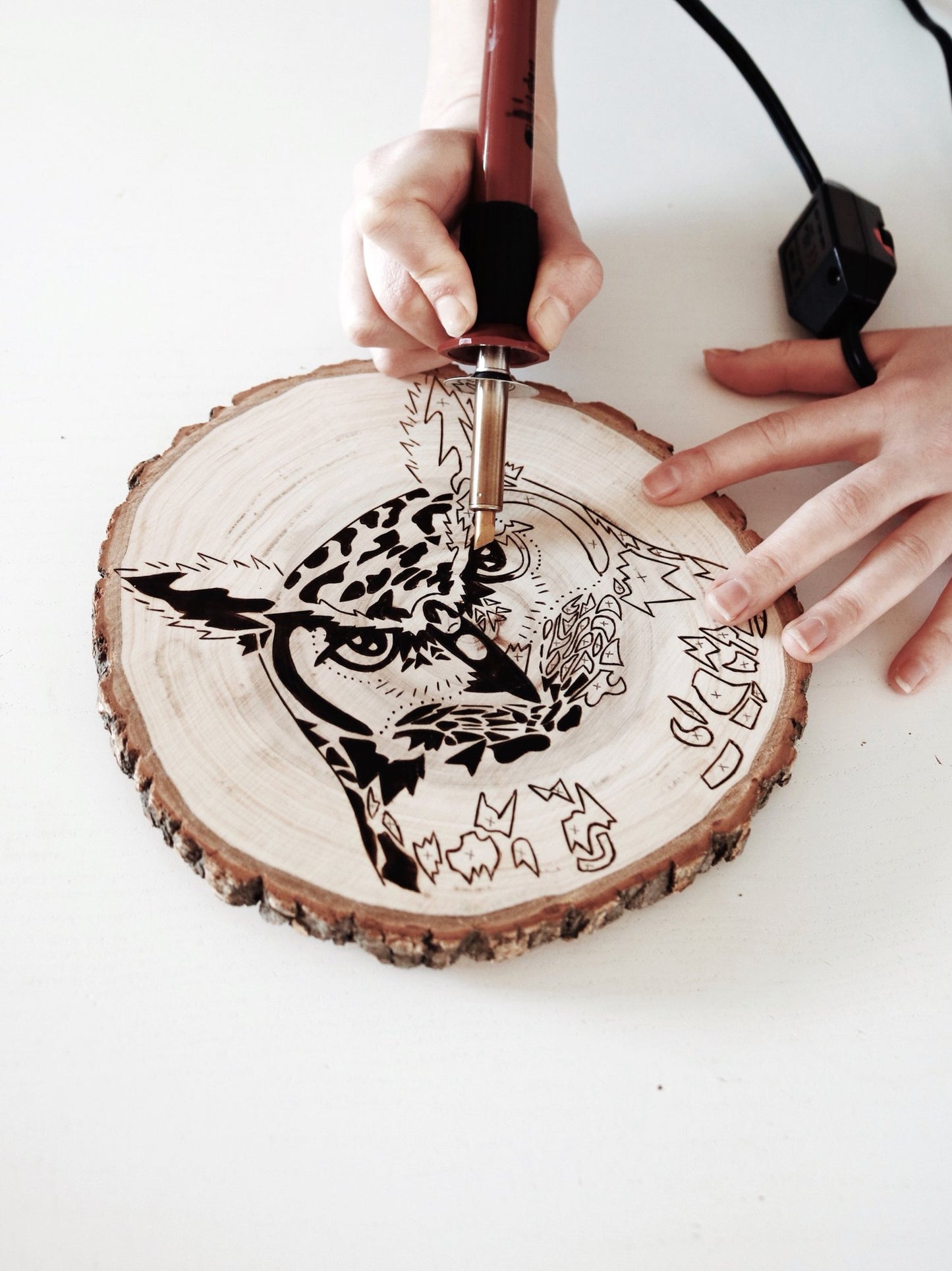 Woodburning Workshop eBook