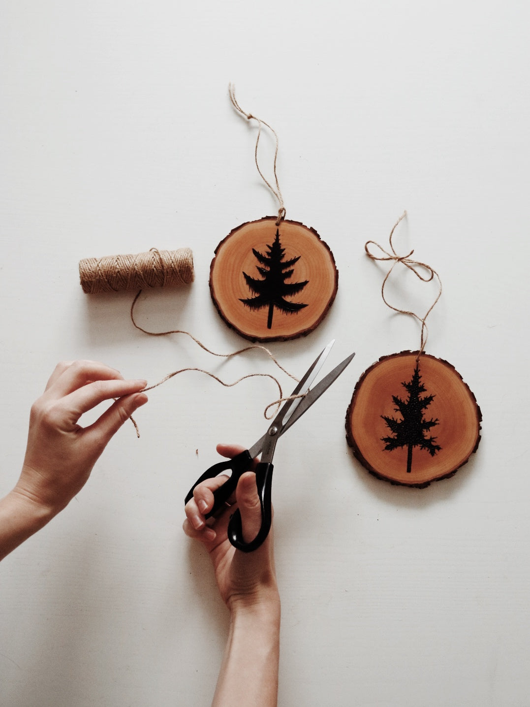 Woodburning Workshop eBook